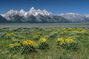Images Dated 3rd January 2023: USA, Wyoming. Grand Teton Range, Grand Teton National Park