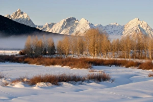 Images Dated 15th January 2009: USA, Wyoming, Grand Tetons National Park