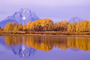Images Dated 2nd October 2006: USA, Wyoming, Grand Tetons National Park. Aspen trees reflect in Oxbow Bend. Mt