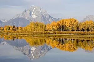 Images Dated 1st October 2006: USA, Wyoming, Grand Tetons National Park. Aspen trees reflect in Oxbow bend. Mt