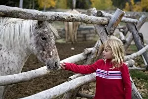 Images Dated 25th September 2007: USA. Wyoming. Grand Tetons National Park. Young girl pets a spotted pony at a stable in the Tetons