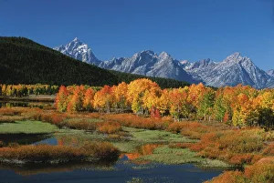 Images Dated 12th July 2011: USA, Wyoming, Grand Tetons National Park in autumn, Mt Moren, Oxbow Bend