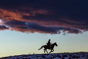 Images Dated 28th September 2022: USA, Wyoming. Hideout Horse Ranch, wrangler and horse at sunset. (MR, PR)