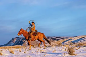 Images Dated 2nd December 2022: USA, Wyoming. Hideout Horse Ranch, wrangler and horse in snow. (MR, PR)