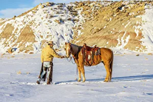 Images Dated 2nd December 2022: USA, Wyoming. Hideout Horse Ranch, wrangler and horse in snow. (MR, PR)