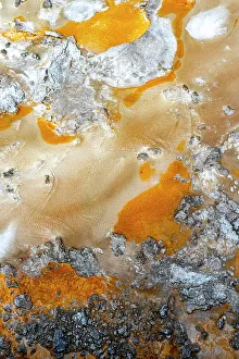 Mineral Deposit Prints: USA, Wyoming. Hot spring runoff, Yellowstone National Park