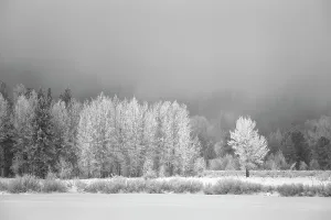 Danita Delimont New Images May 2025 Prints: USA, Wyoming, Jackson. Grand Teton National Park