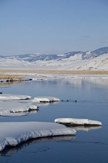 Images Dated 21st February 2010: USA, Wyoming, Jackson Hole. National Elk Refuge. Frozen creek on Elk Refuge
