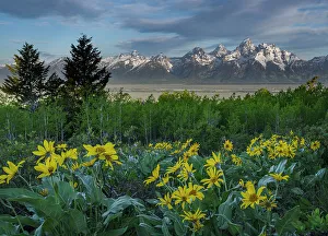 New Images March 2024 Prints: USA, Wyoming. Landscape of Grand Teton