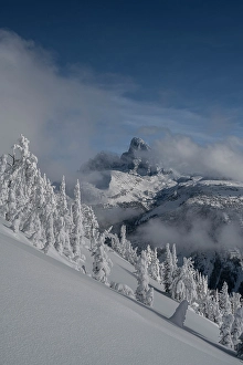 Images Dated 3rd May 2024: USA, Wyoming. Landscape of Grand Teton, flocked trees and clearing storm
