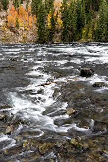 Images Dated 3rd January 2023: USA, Wyoming. LeHardys Rapids, Yellowstone National Park