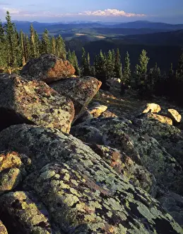 Sierra Madre Prints: USA, Wyoming, Lichen covered on boulders on Continental Divide