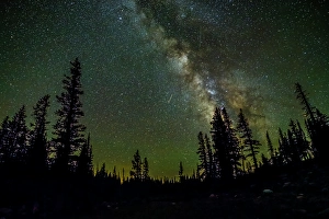 Star Prints: USA, Wyoming, Medicine Bow National Forest