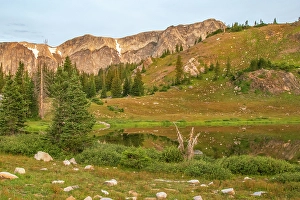 New Images March 2024 Part 1 Prints: USA, Wyoming, Medicine Bow National Forest