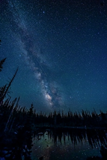 New Images March 2024 Part 1 Prints: USA, Wyoming, Medicine Bow National Forest