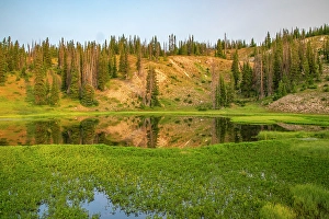 New Images March 2024 Part 1 Prints: USA, Wyoming, Medicine Bow National Forest