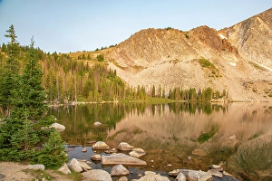 New Images March 2024 Part 1 Prints: USA, Wyoming, Medicine Bow National Forest