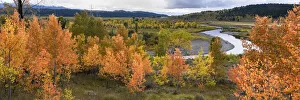Images Dated 18th January 2021: USA, Wyoming. Panoramic. Colorful autumn foliage with river, clouds, and mountains