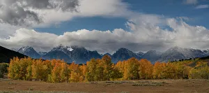 Grand Teton Prints: USA, Wyoming. Panoramic view of Mount Moran and fall Cottonwood and Aspen trees