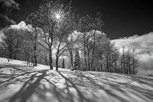 Teton Prints: USA, Wyoming. Shadows and sunstar and a snowy