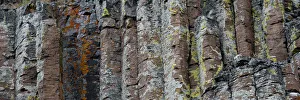 Images Dated 14th July 2019: USA, Wyoming. Sheepeater Cliffs detail, Yellowstone National Park
