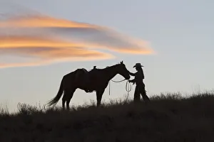 Images Dated 27th September 2011: USA, Wyoming, Shell, The Hideout Ranch, Silhouette of Cowgirl with Horse at Sunset