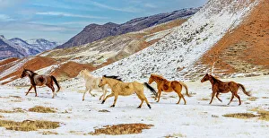 Images Dated 30th November 2023: USA, Wyoming, Shell. Hideout Ranch, Big Horn Mountain Range