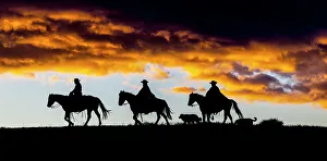 Images Dated 30th November 2023: USA, Wyoming, Shell. Hideout Ranch, Big Horn Mountain Range