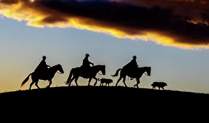 Images Dated 30th November 2023: USA, Wyoming, Shell. Hideout Ranch, Big Horn Mountain Range