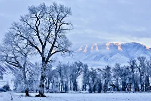 Cloudy Prints: USA, Wyoming, Shell, Hoar Frost in the Valley, PR