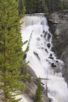 Images Dated 7th July 2021: USA, Wyoming, Shoshone National Forest. Brooks Lake Creek Falls landscape