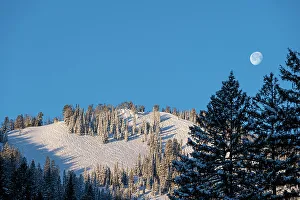 Skiing Prints: USA, Wyoming. Ski tracks in powder and full moon near Teton Pass