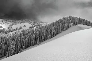 Bowl Prints: USA, Wyoming. Snowy landscape after snowstorm