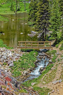 Images Dated 20th June 2024: USA, Wyoming, Snowy Range. French Creek Canyon Bridge over stream