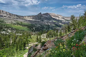 Teton Prints: USA, Wyoming. Teton Mountains, Wedge Mountain and wildflowers in Alaska Basin