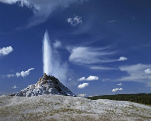 Images Dated 25th February 2013: USA, Wyoming, Yellowstone National Park, White Dome Geyser