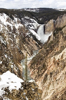 Images Dated 8th May 2009: USA, Wyoming, Yellowstone National Park, Lower Falls on Yellowstone River at Artist