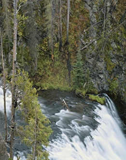 The Firehole River in Yellowstone National Park