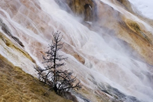 Images Dated 11th January 2009: USA, Wyoming, Yellowstone National Park. Mammoth Hot Springs waterfall cascade. Credit as
