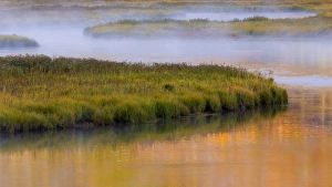 Images Dated 23rd September 2013: USA, Wyoming, Yellowstone National Park. Morning on the Madison River. Credit as