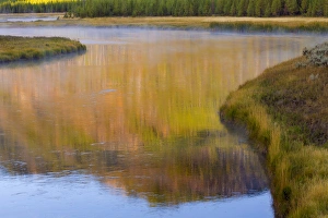 Images Dated 23rd September 2013: USA, Wyoming, Yellowstone National Park. Morning on the Madison River. Credit as