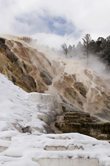 Images Dated 11th January 2009: USA, Wyoming, Yellowstone National Park. Mammoth Hot Springs scenic