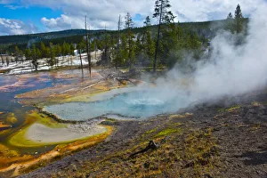 USA, Wyoming, Yellowstone National Park. Bubble Geyser