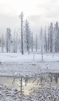 Images Dated 28th January 2017: USA, Wyoming, Yellowstone National Park, near Midway Geyser Basin