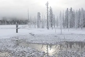 Images Dated 28th January 2017: USA, Wyoming, Yellowstone National Park, near Midway Geyser Basin