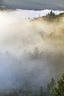 USA, Wyoming, Yellowstone National Park. Mist envelopes the Yellowstone River canyon