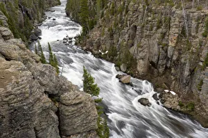 Images Dated 26th August 2020: USA, Wyoming, Yellowstone National Park. Snowmelt rushes down the Lewis River Canyon