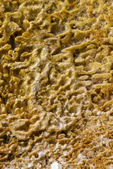 USA, Wyoming, Yellowstone National Park, Black Sand Basin