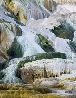 Images Dated 13th June 2022: USA, Wyoming, Yellowstone National Park. Mammoth Hot Springs