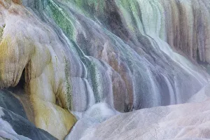Images Dated 13th June 2022: USA, Wyoming, Yellowstone National Park. Mammoth Hot Springs